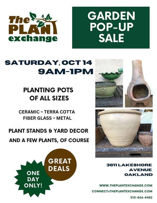 THE PLANT EXCHANGE